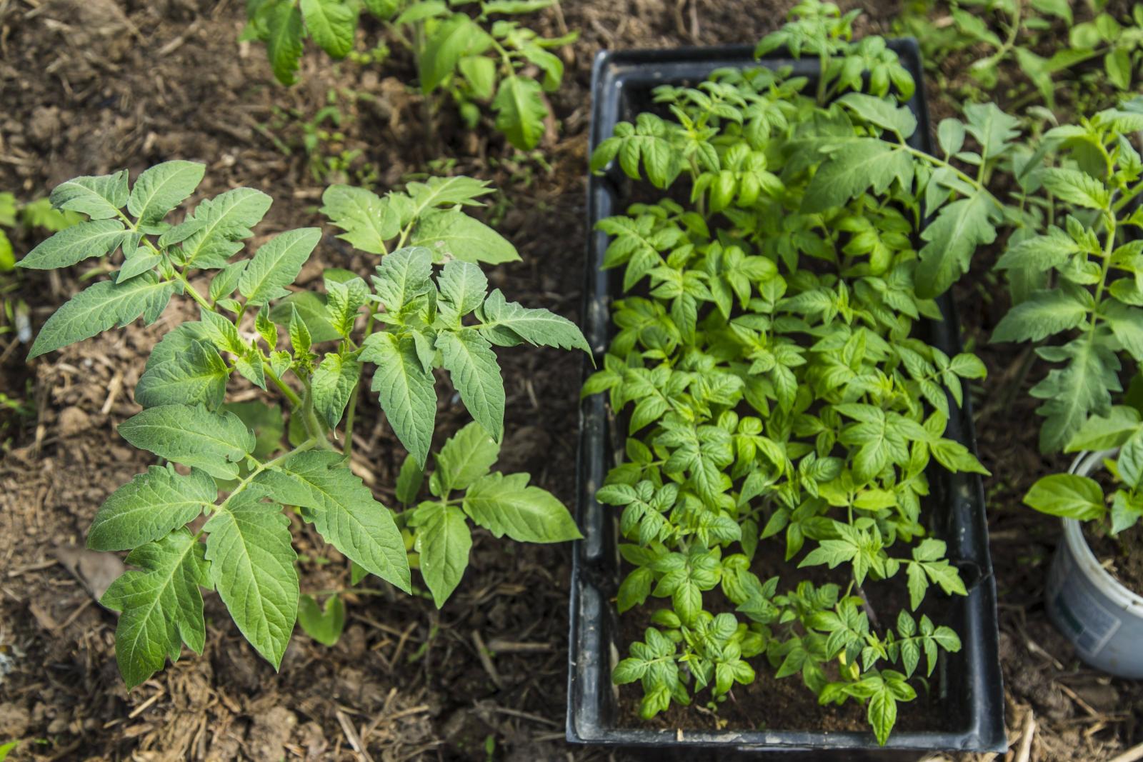 фото legion-media