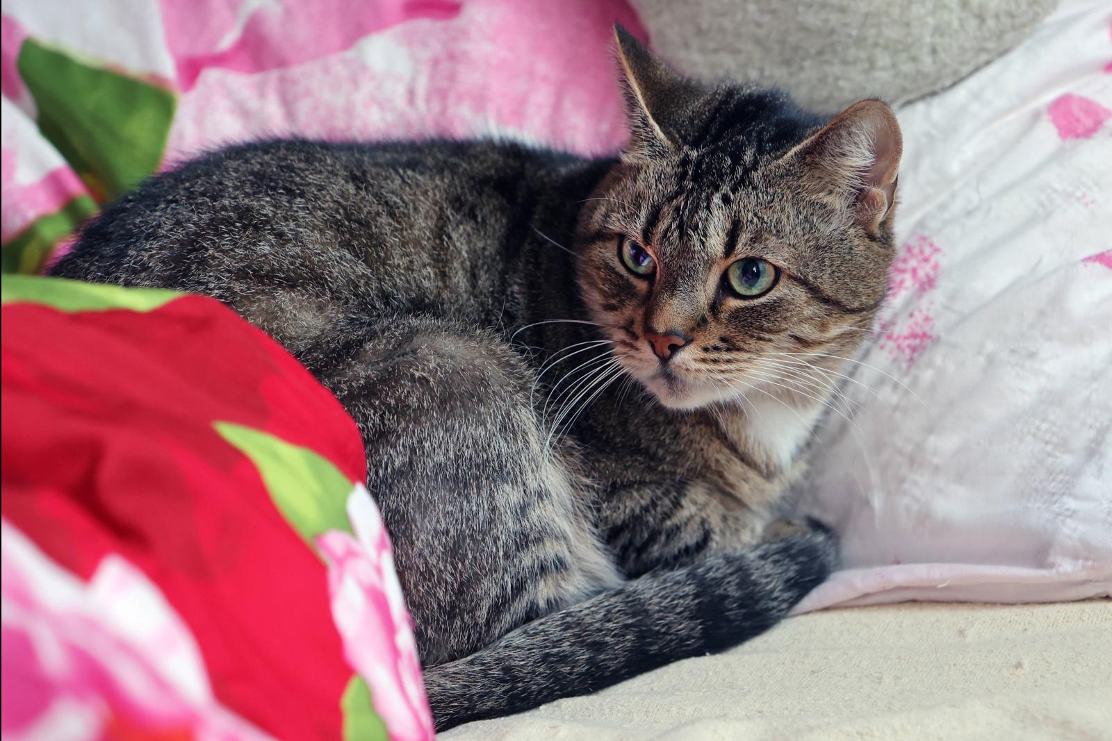 фото legion-media