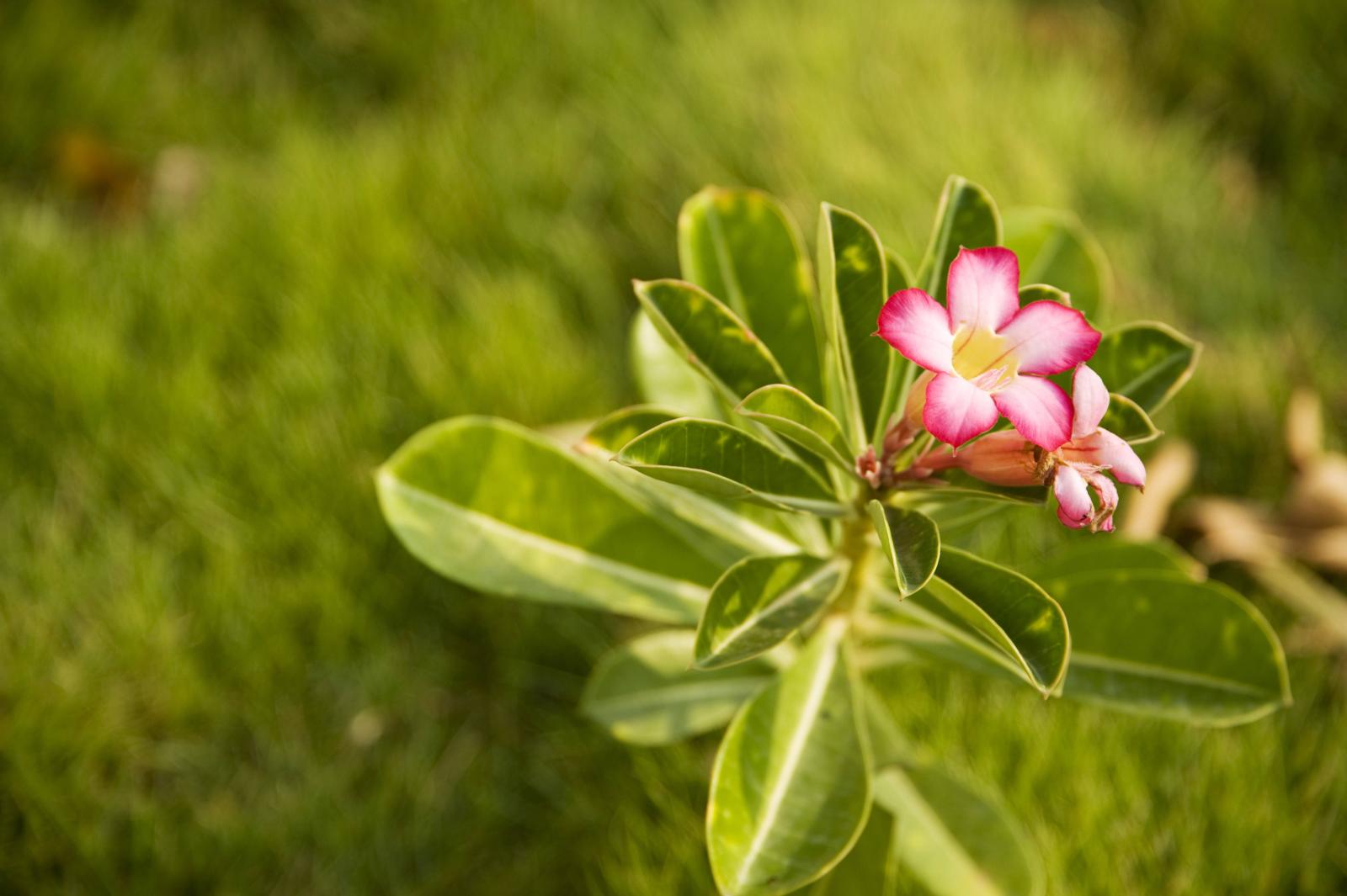 фото legion-media