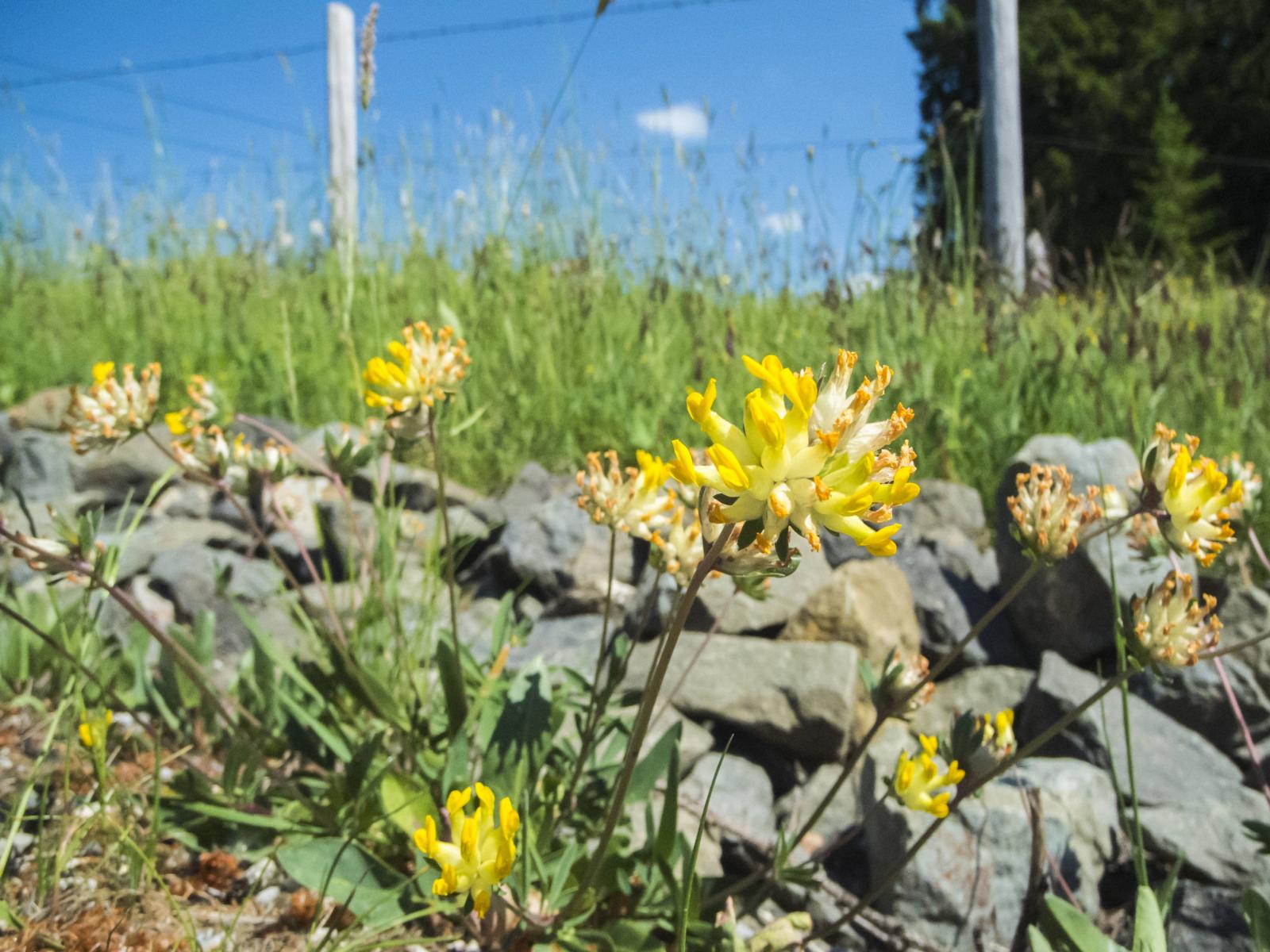 фото legion-media