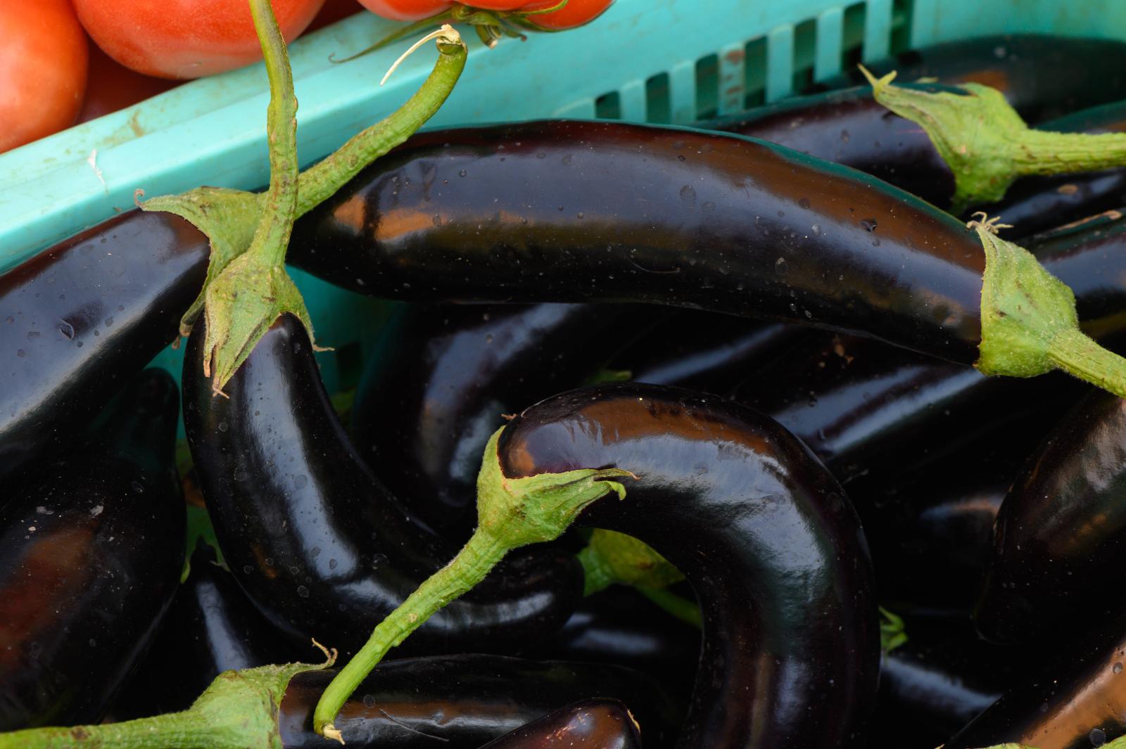 фото legion-media