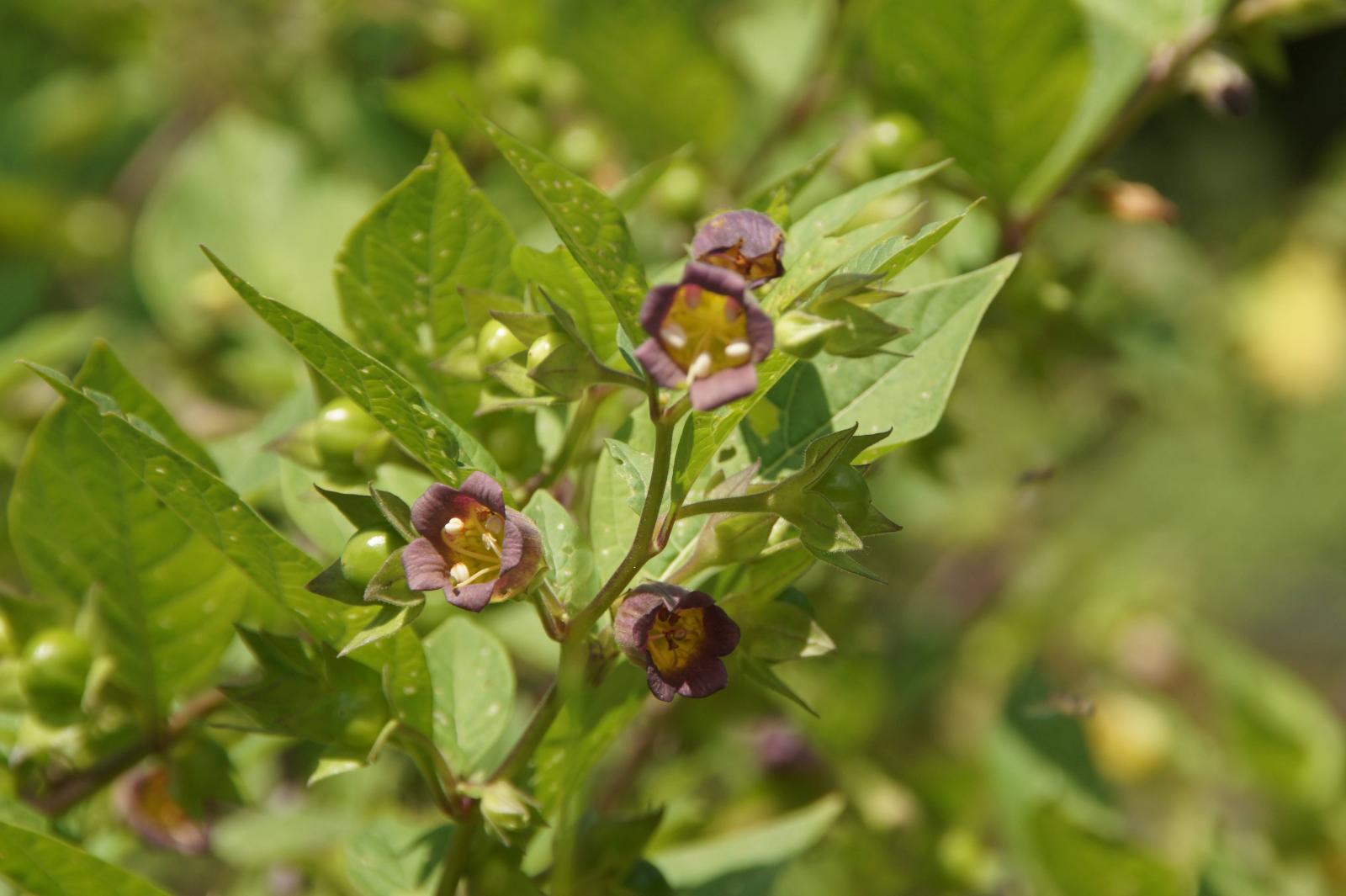 фото legion-media