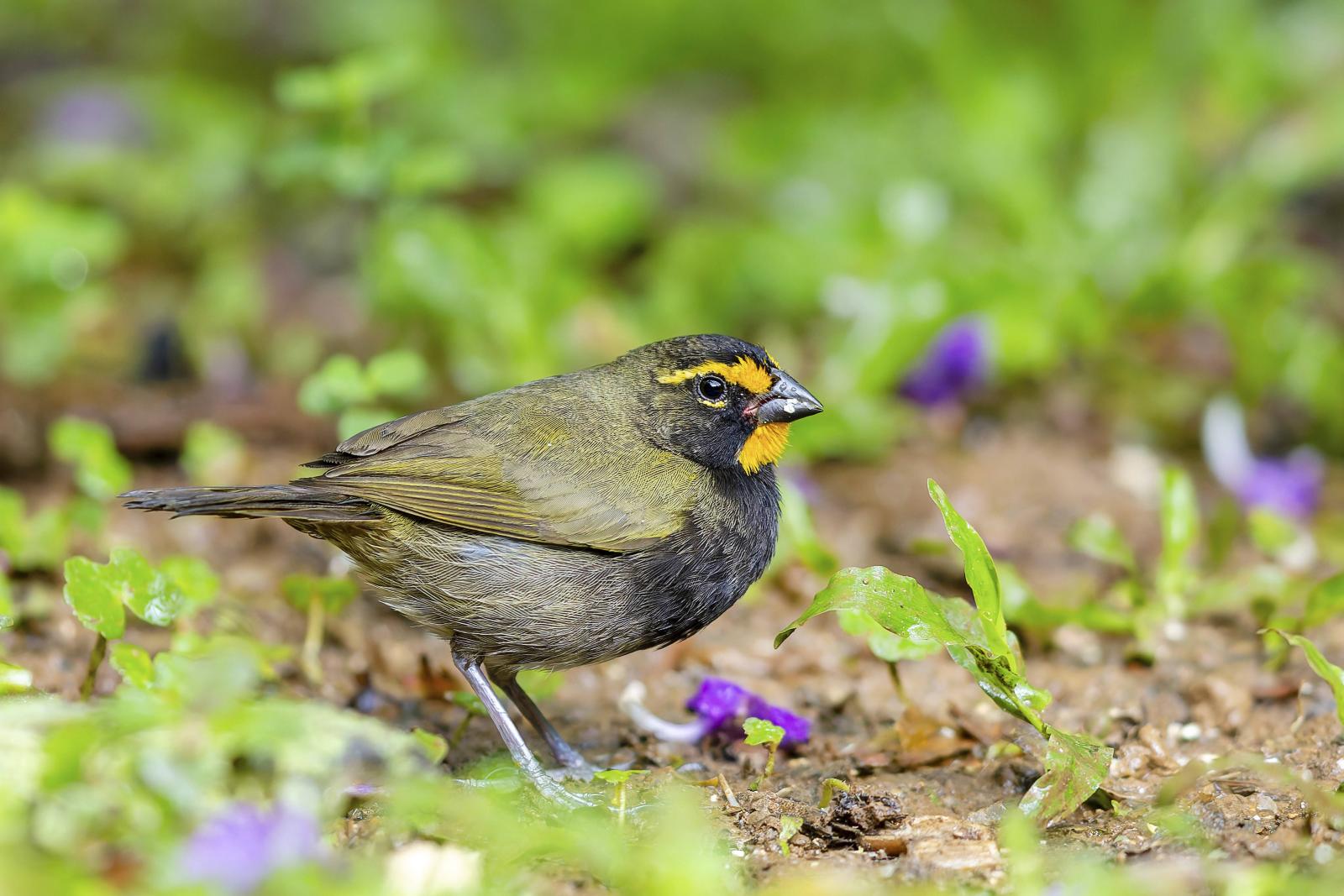 фото legion-media