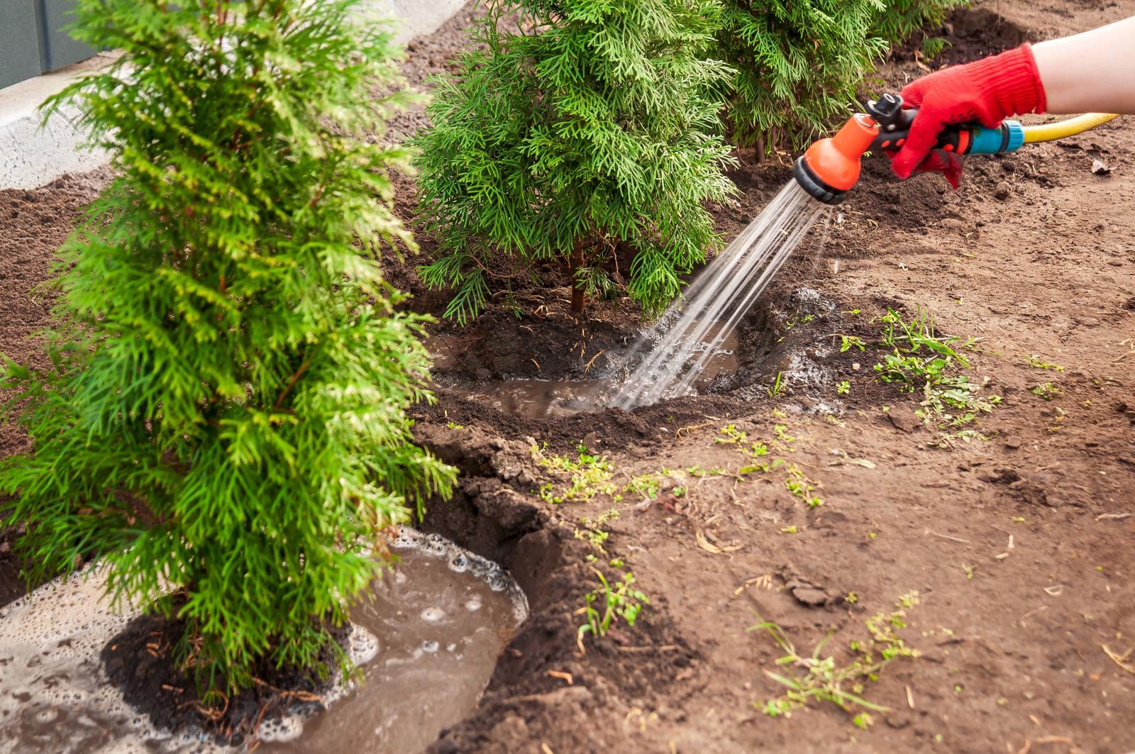 фото legion-media