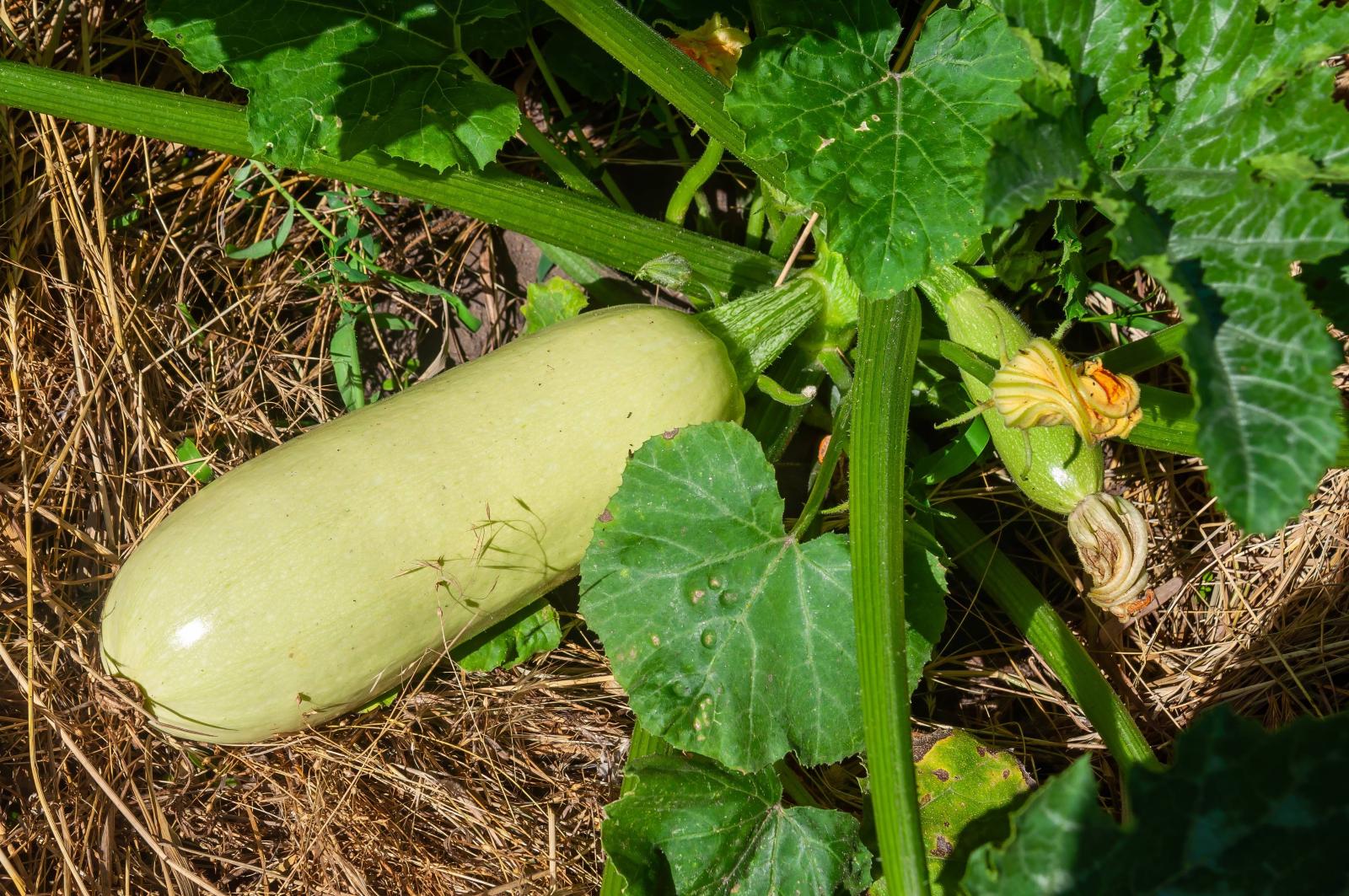 фото legion-media