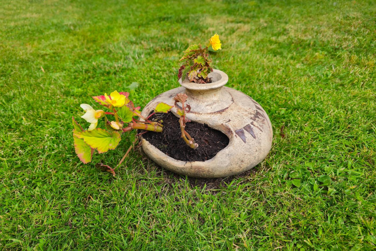 фото legion-media