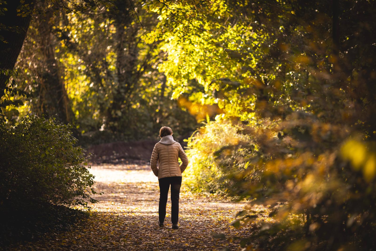 фото legion-media