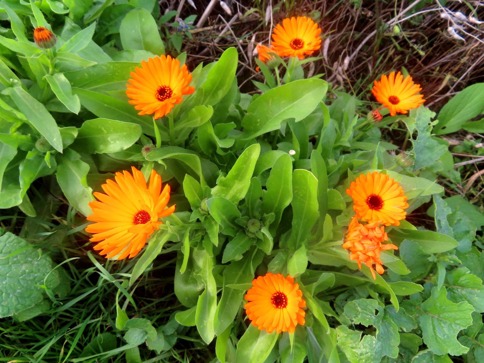 фото legion-media