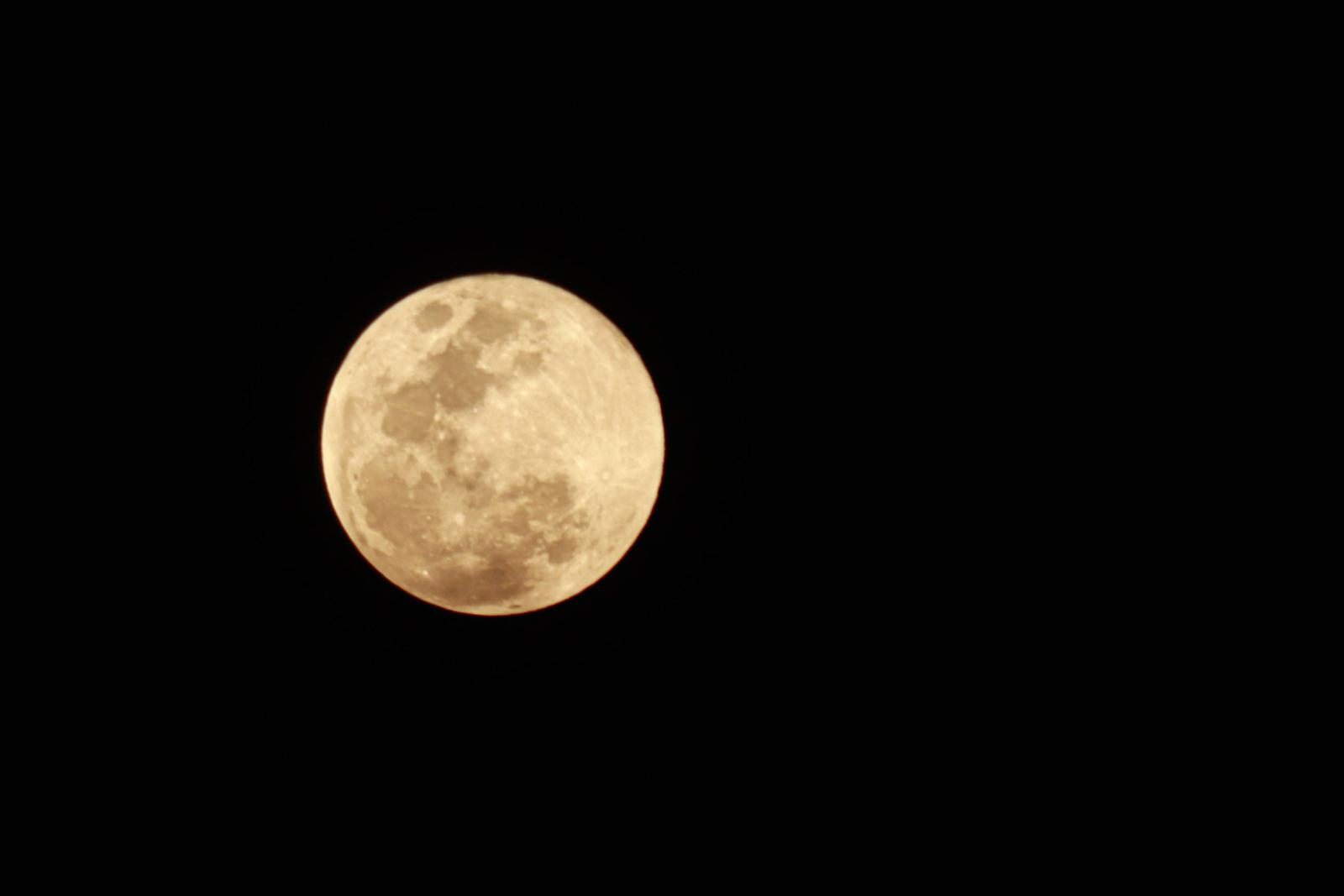 фото legion-media