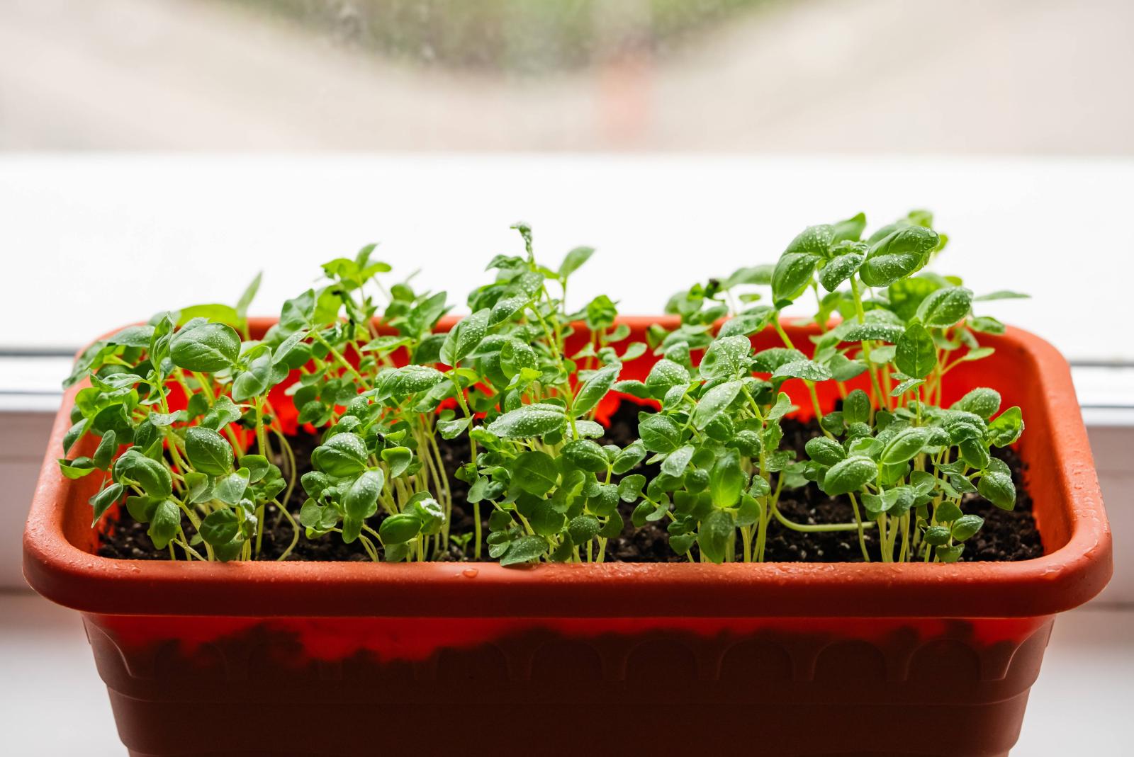 фото legion-media