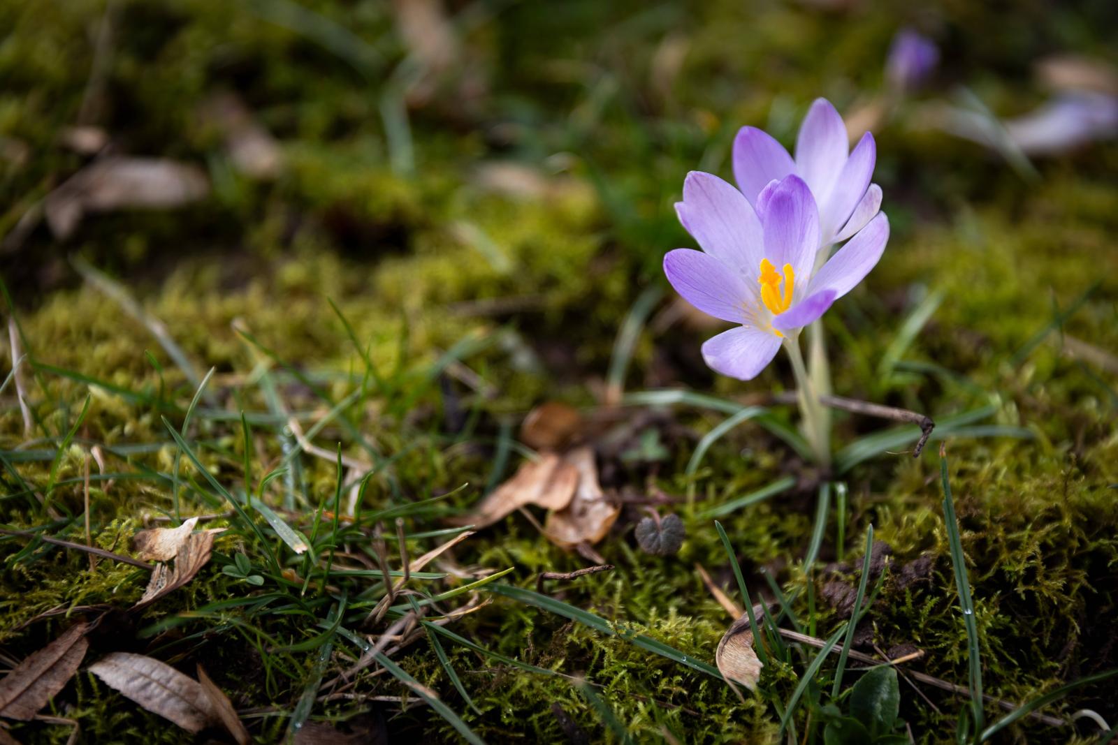 фото legion-media