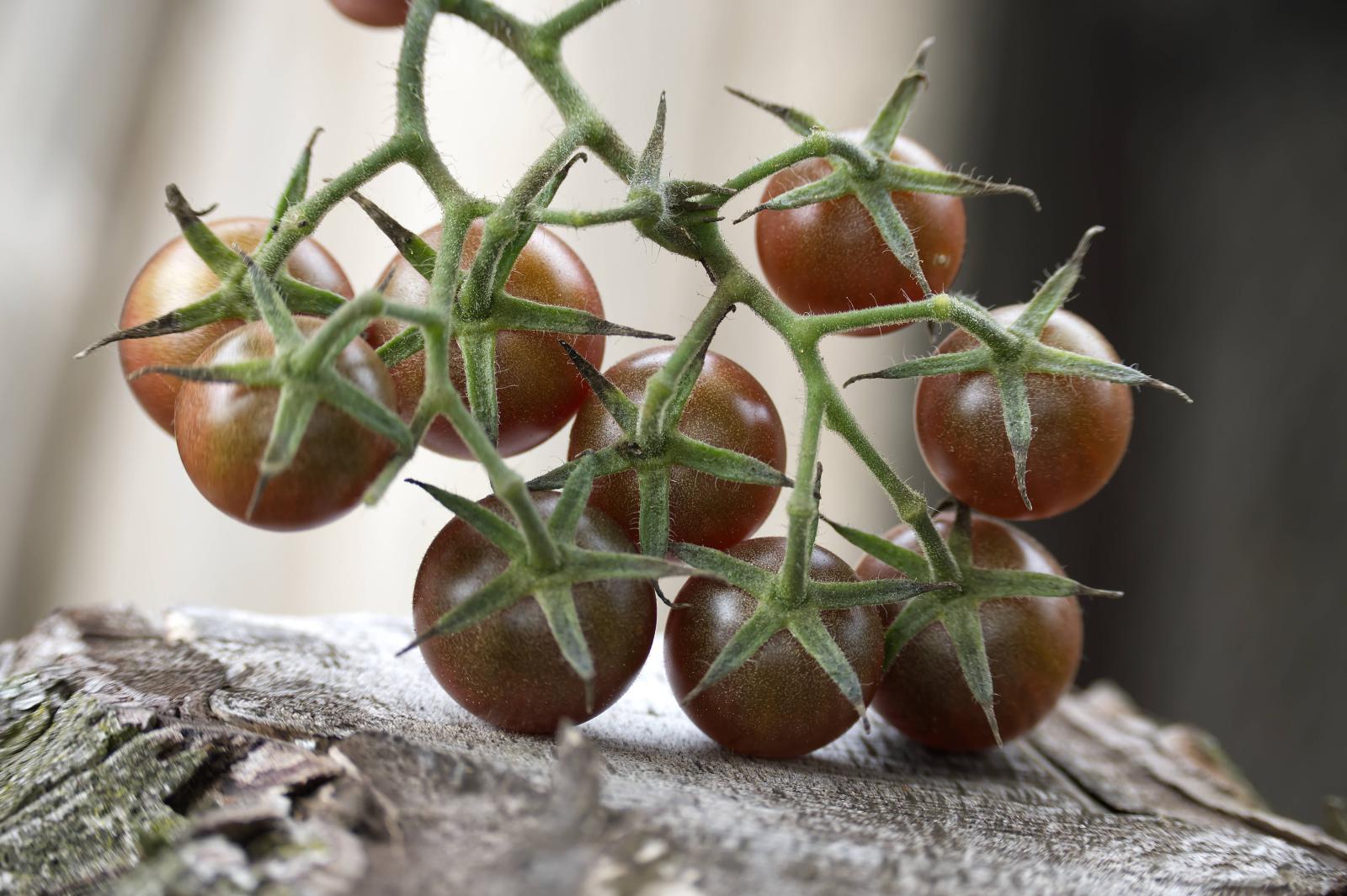 фото legion-media