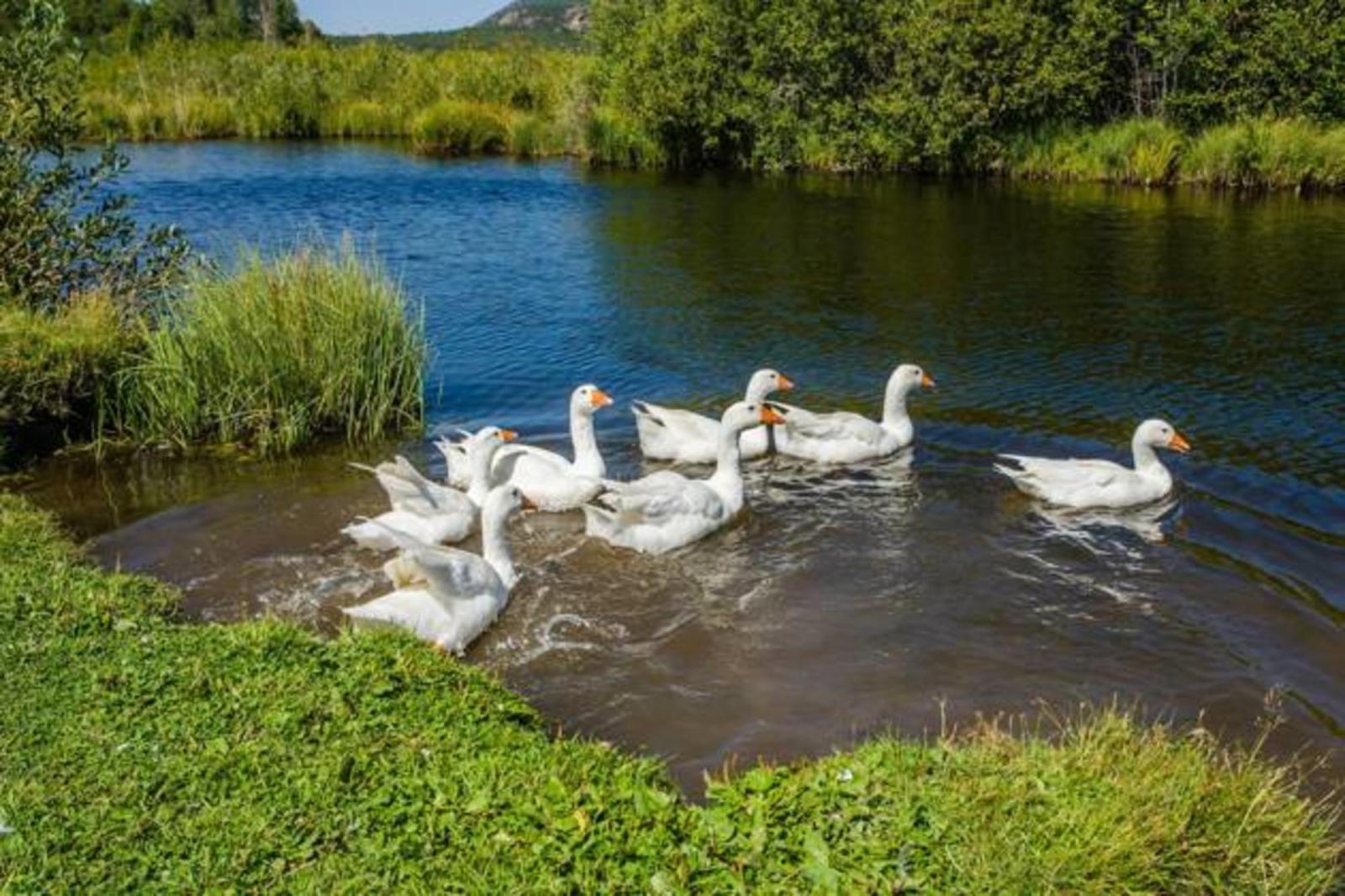 Город из анекдота: как выглядит столица российской провинции – самоирония вместо оправданий - image 1