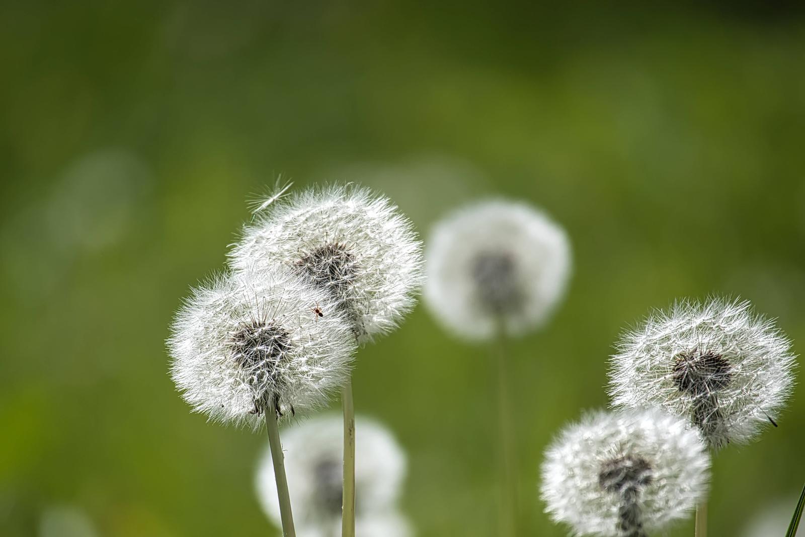 фото legion-media