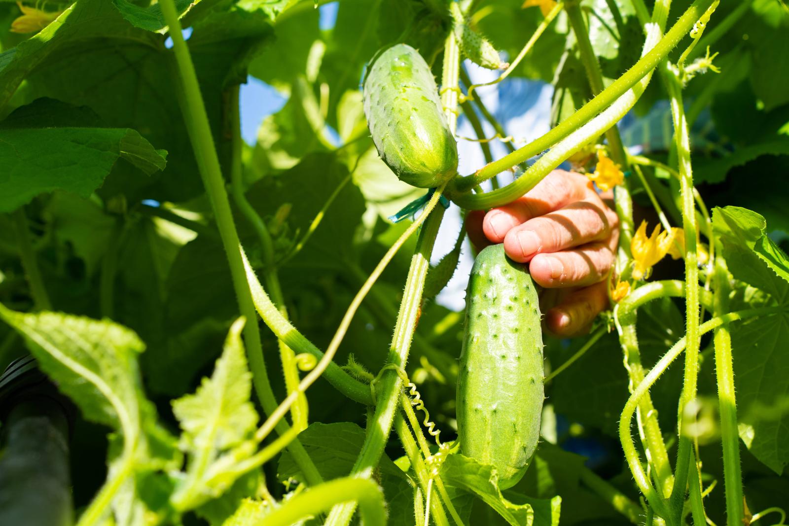 фото legion-media