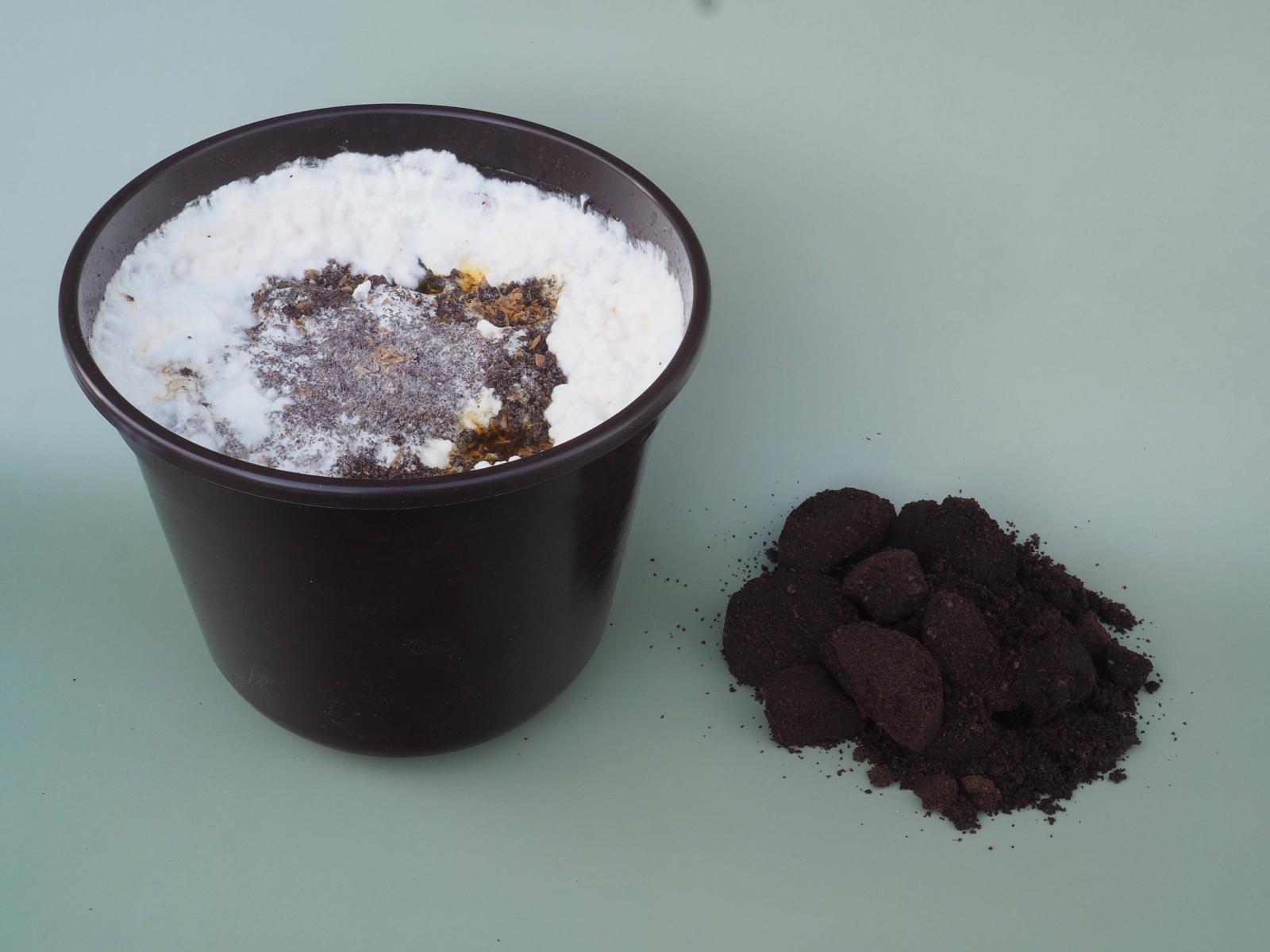 фото legion-media