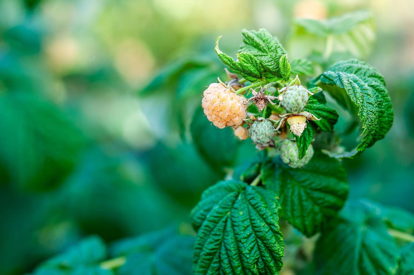 фото legion-media