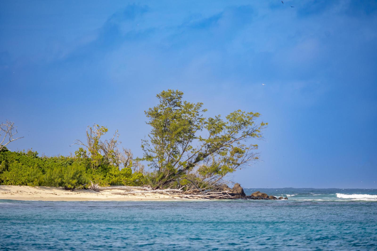 Белоснежный песок и вода, прозрачнее горного ручья: это место живописнее Сейшельских островов и надоевших Мальдив – находится в России - image 2