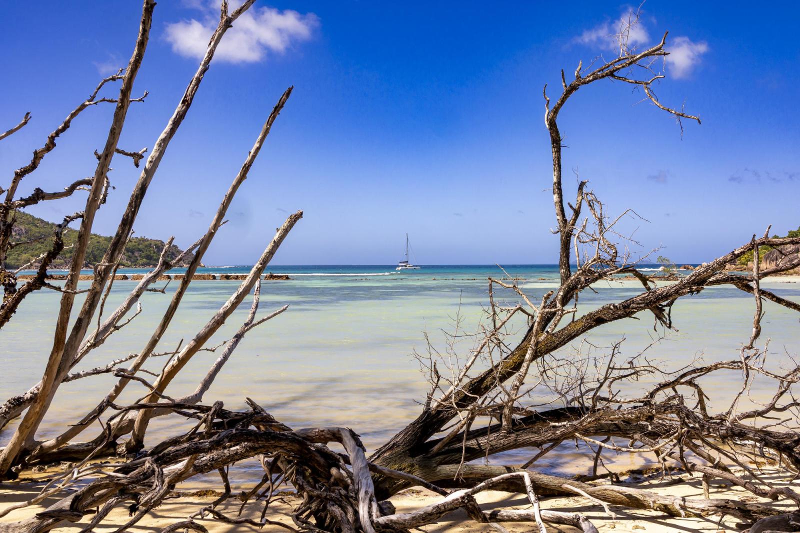 Белоснежный песок и вода, прозрачнее горного ручья: это место живописнее Сейшельских островов и надоевших Мальдив – находится в России - image 1