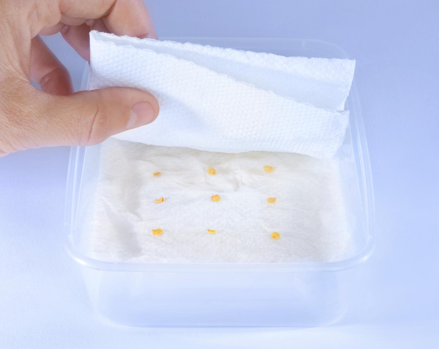 фото legion-media