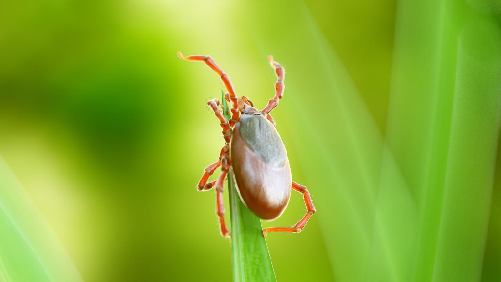 фото legion-media