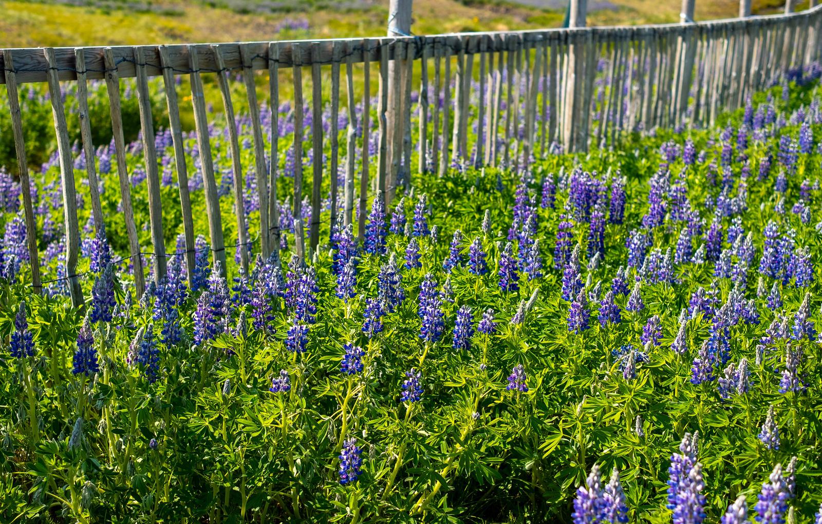 фото legion-media