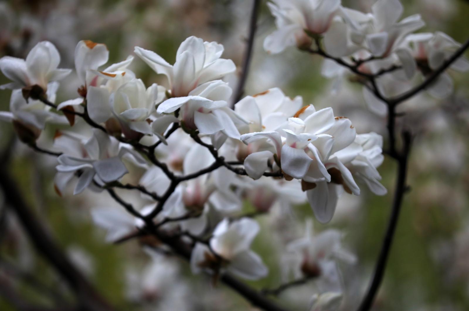 фото legion-media