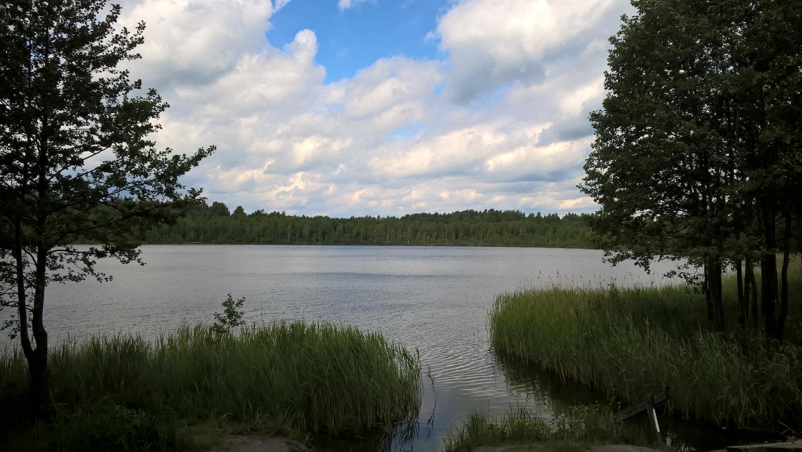 Городовой ру