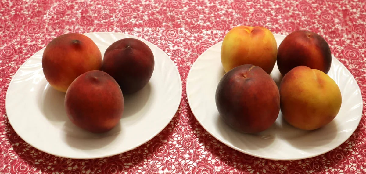 Эта деталь отличает сладкие персики от кислых: с выбором больше не ошибетесь - image 1