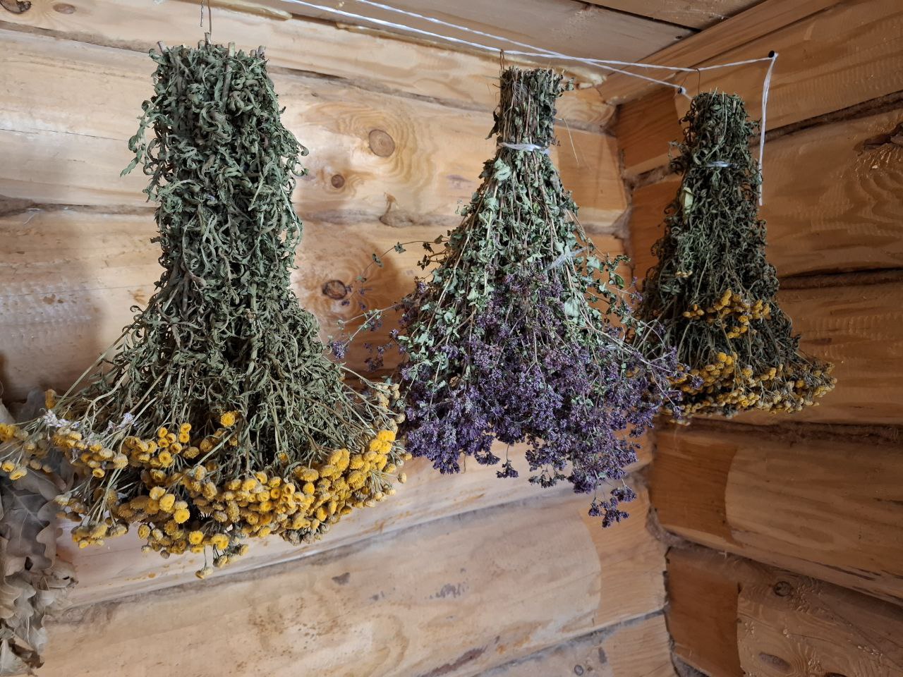 фото Городовой ру