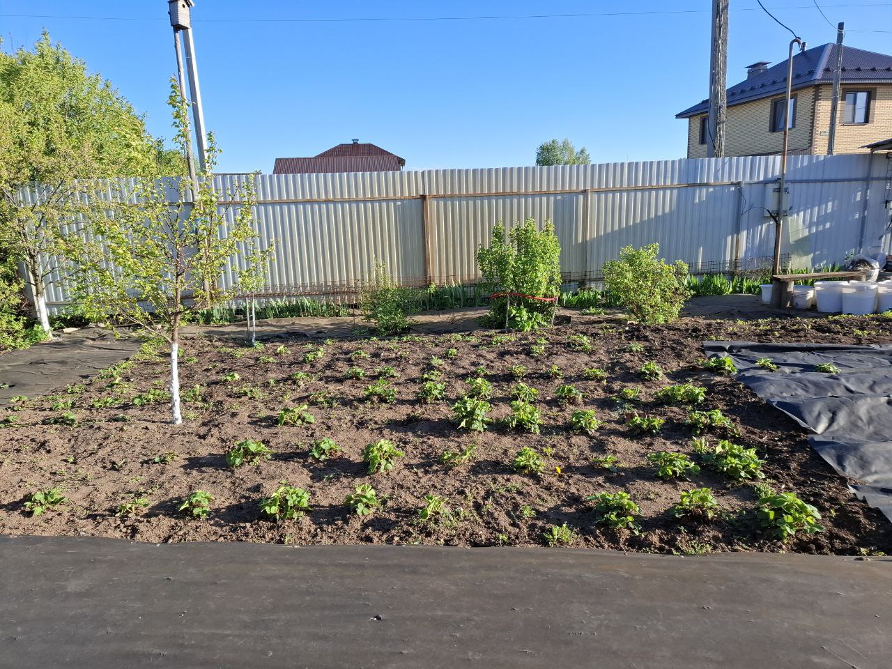 фото Городовой ру