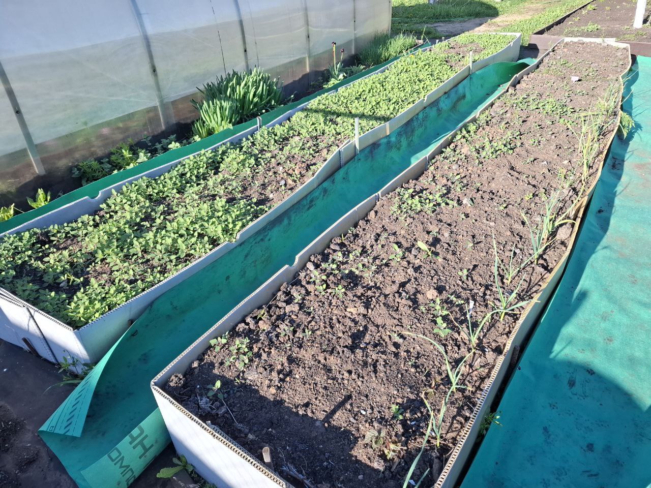 фото Городовой ру