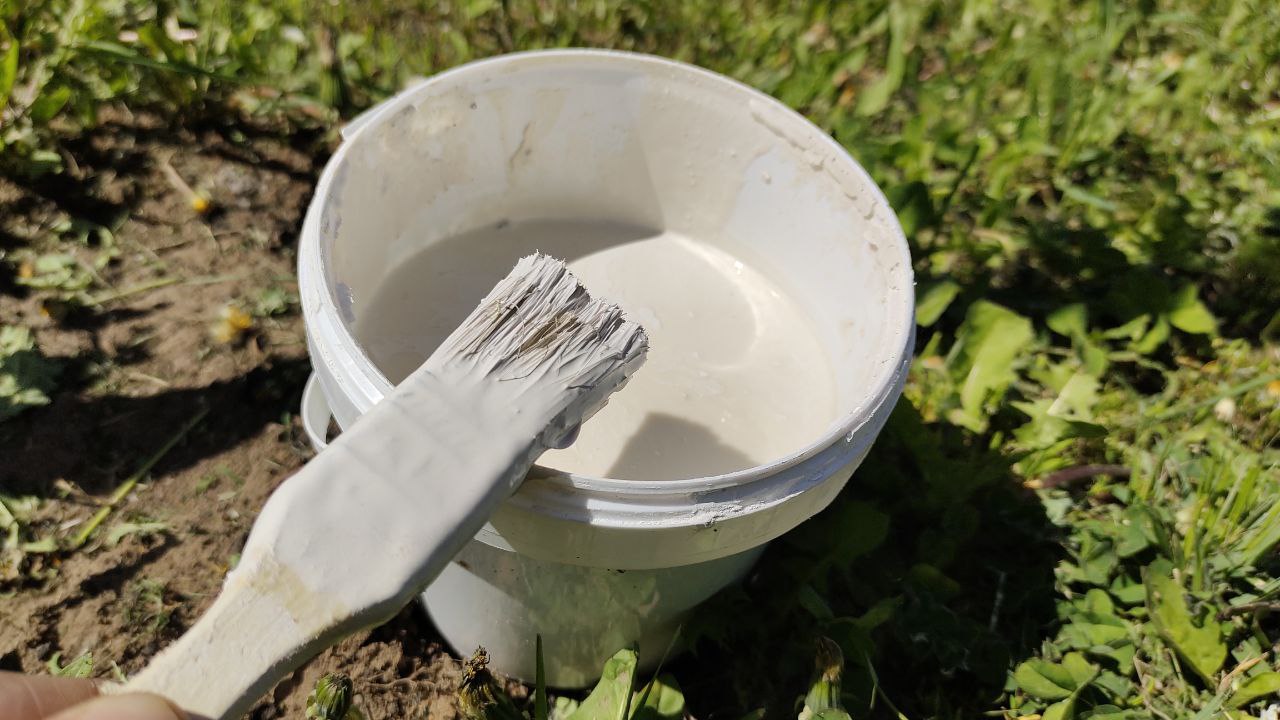 фото Городовой ру