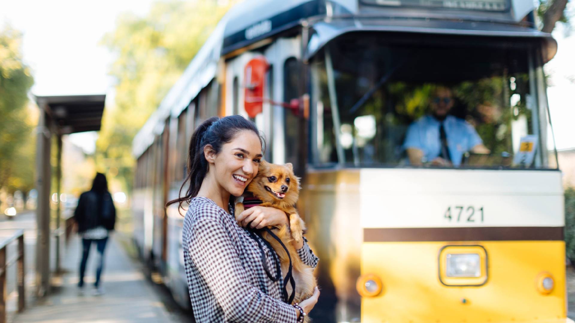 Заплатить кондуктору или ревизору: эксперт объяснил, как быть, если ...