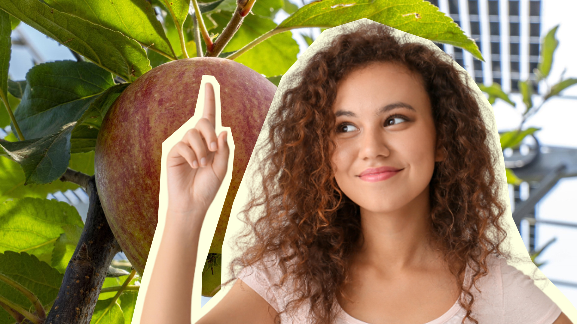 Мыши на метр не подойдут: вот что защитит яблони зимой от грызунов