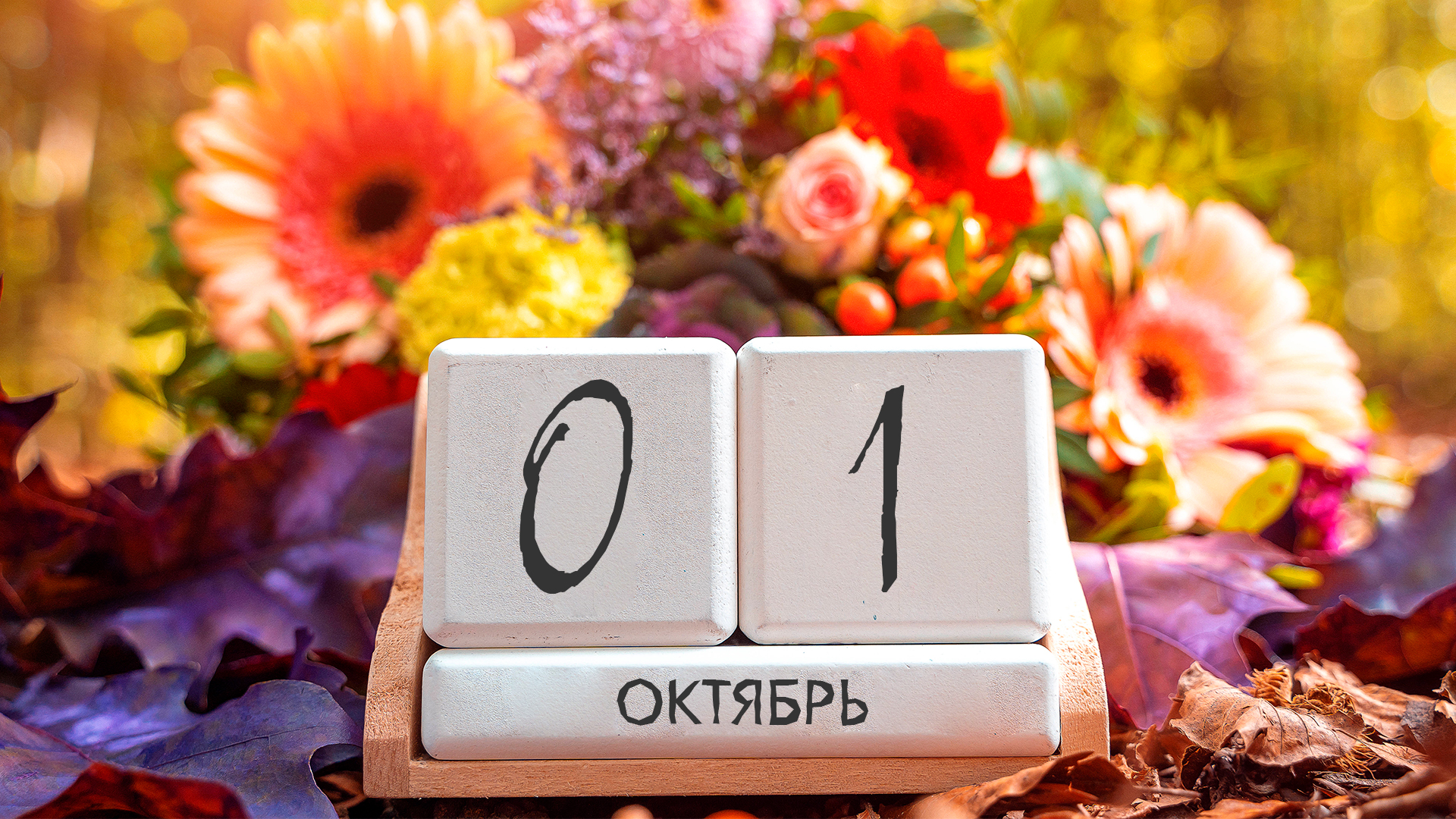 на огороде без трусов Откровенное интервью Алёны Водонаевой нежному редактору Татьяне  Мингалимовой - 15 февраля 2019 | 72.ру