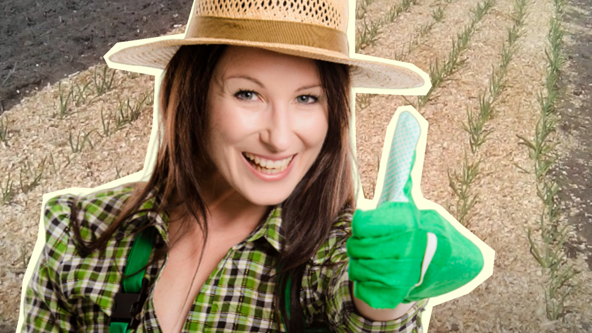 Опытные дачники не зря вносят в почву опилки: весной не знают хлопот с ...