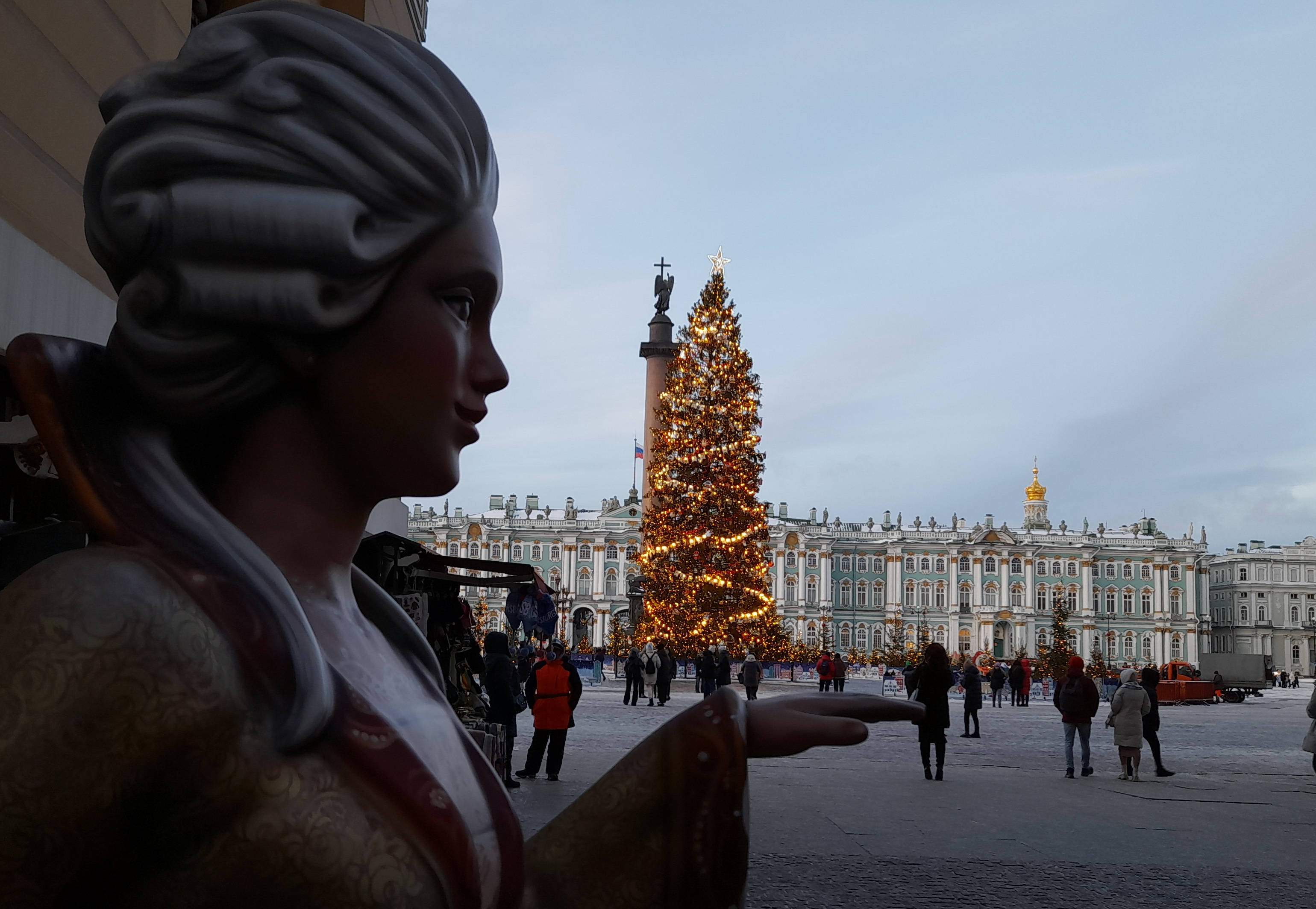 Лесная красавица: главную ёлку Петербурга срубят 9 декабря