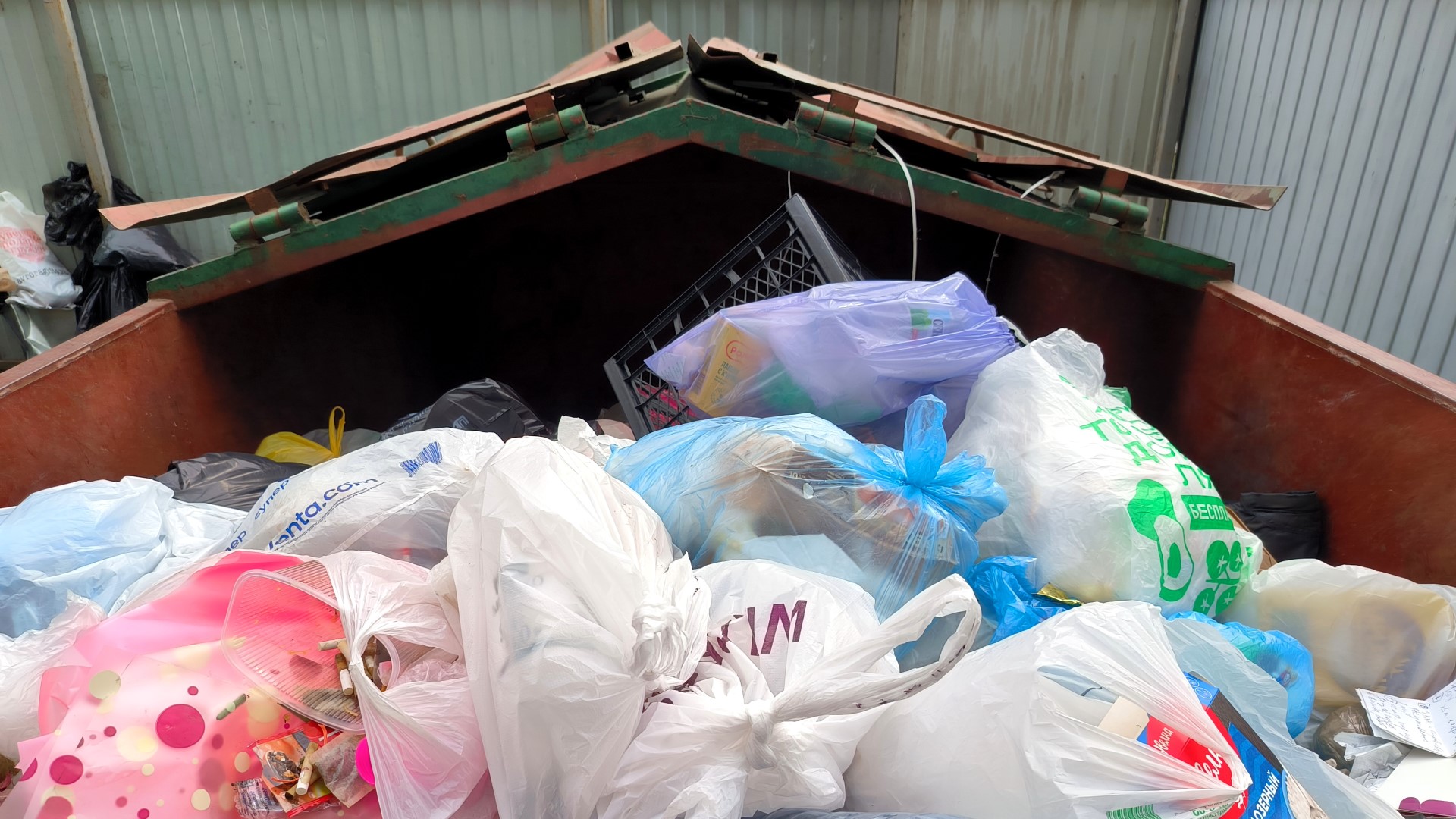 Приструните наглых коммунальщиков: вот куда жаловаться, если мусор не ...