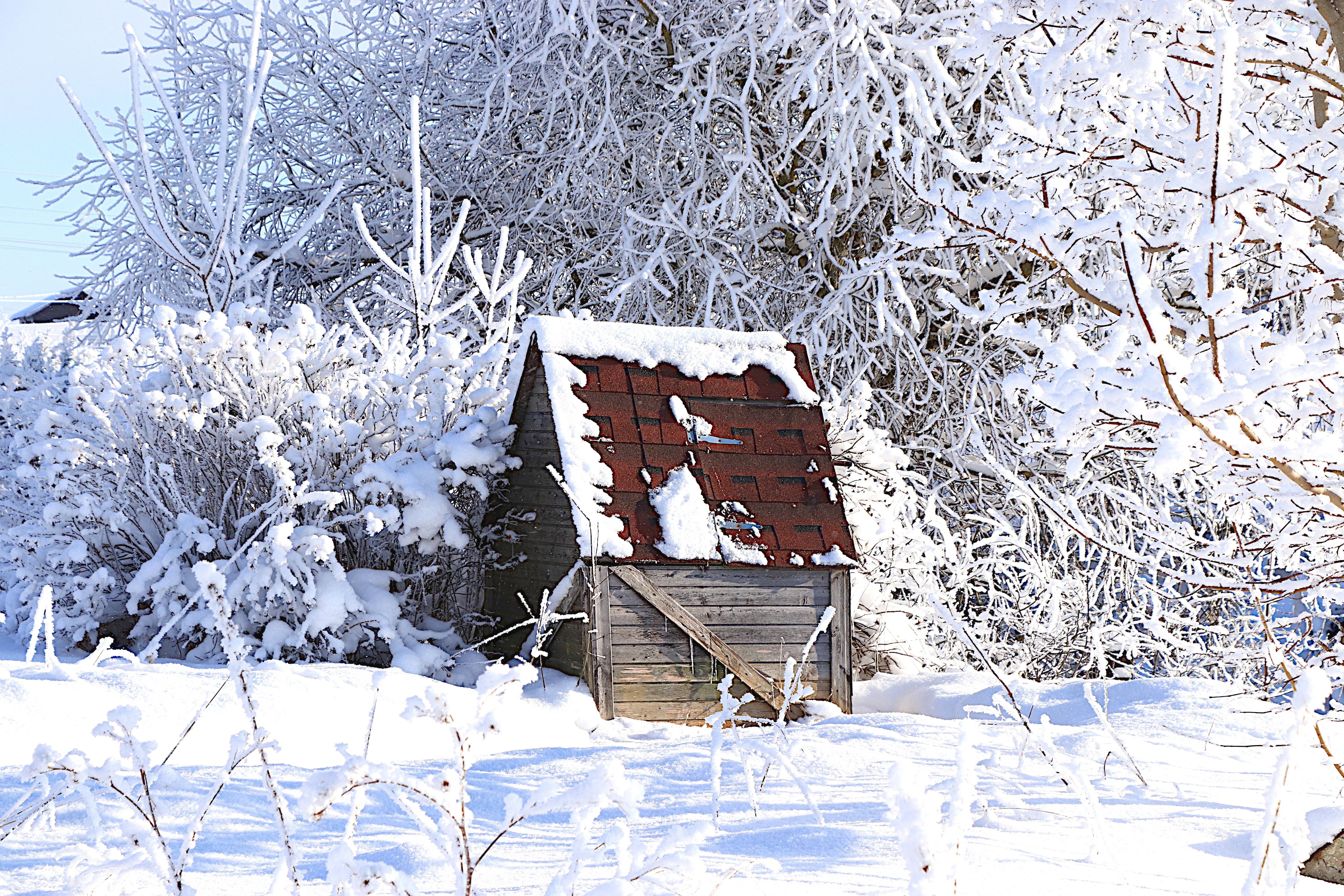 Деревня на краю России - до райцентра 450 км: как живут местные в сибирской глуши