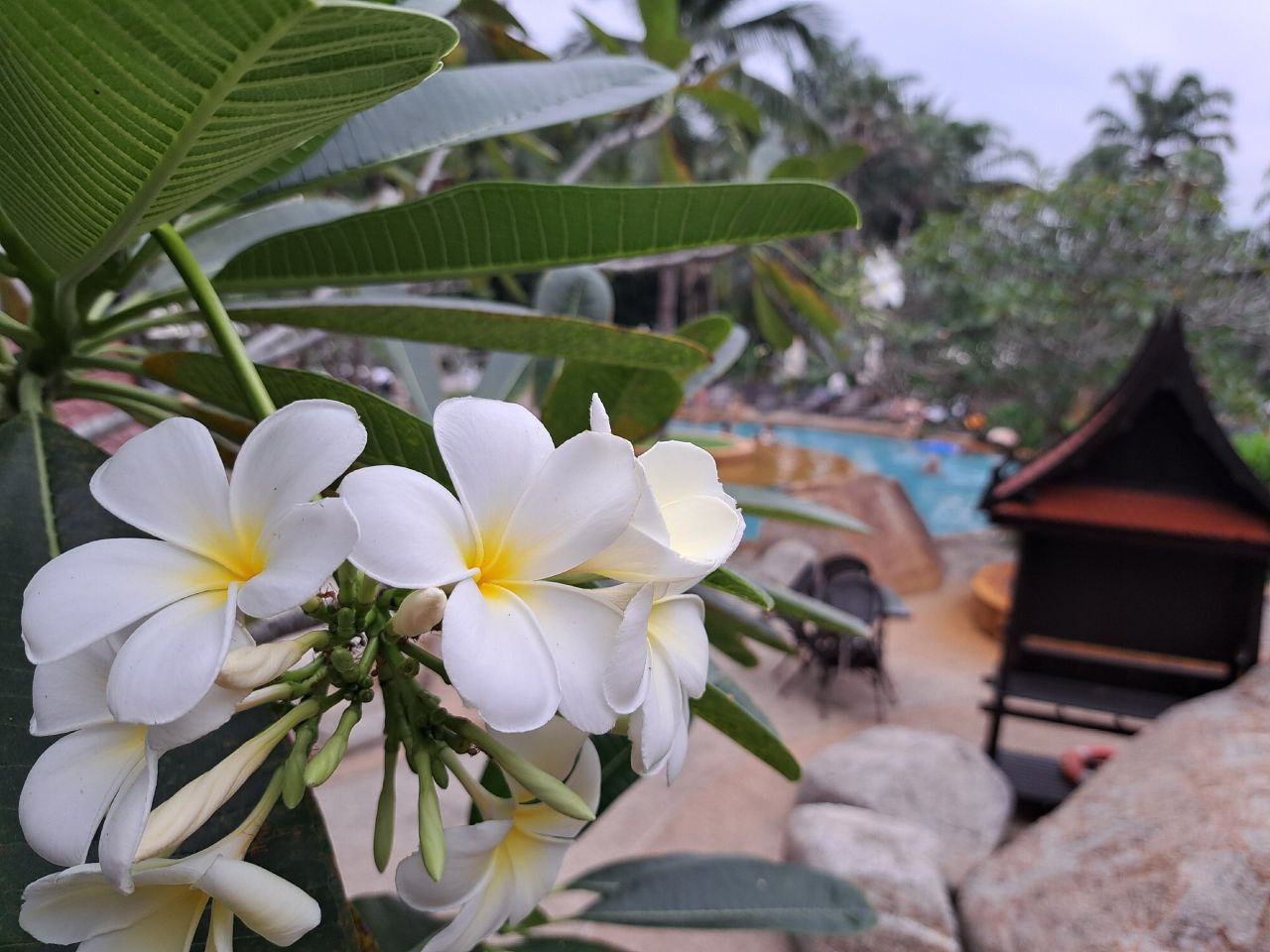 Лучше Сочи и КМВ — незаслуженно забытый курорт с полезным отдыхом — «райский уголок» с ценами как в СССР