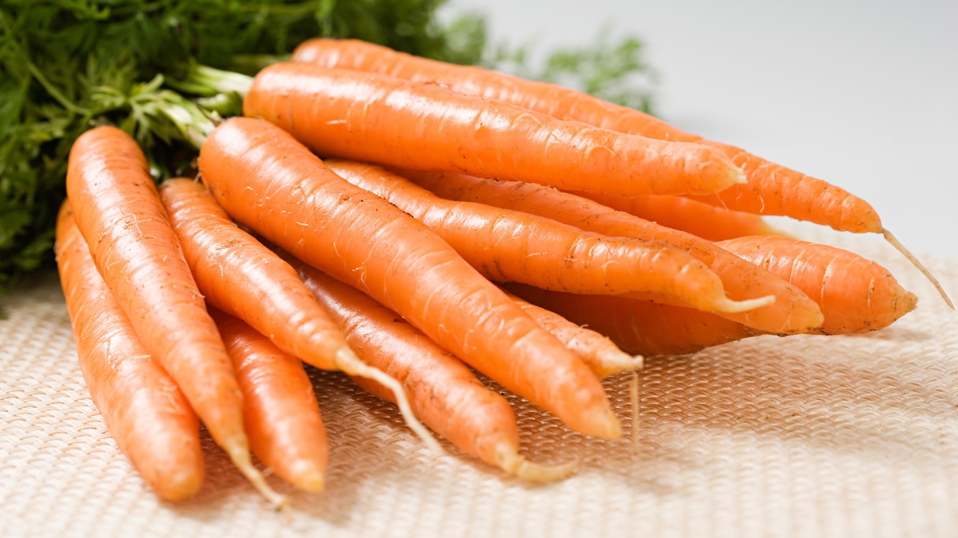 Любит ли морковь. Морковь сорт Алтайская сахарная. Морковь женьшень. Семена моркови Жень-Шень. Морковь посевная.
