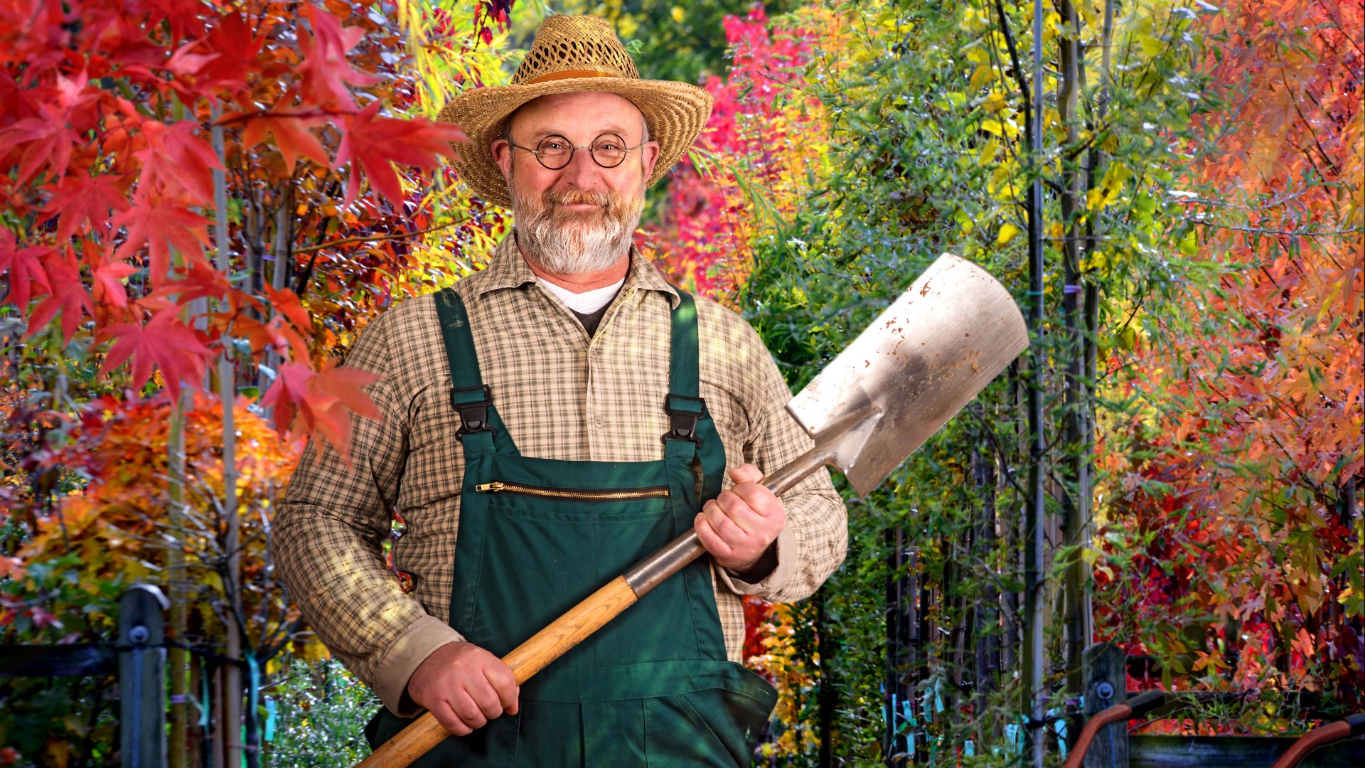 Навоз не понадобится: вот чем удобряют почву по осени опытные агрономы