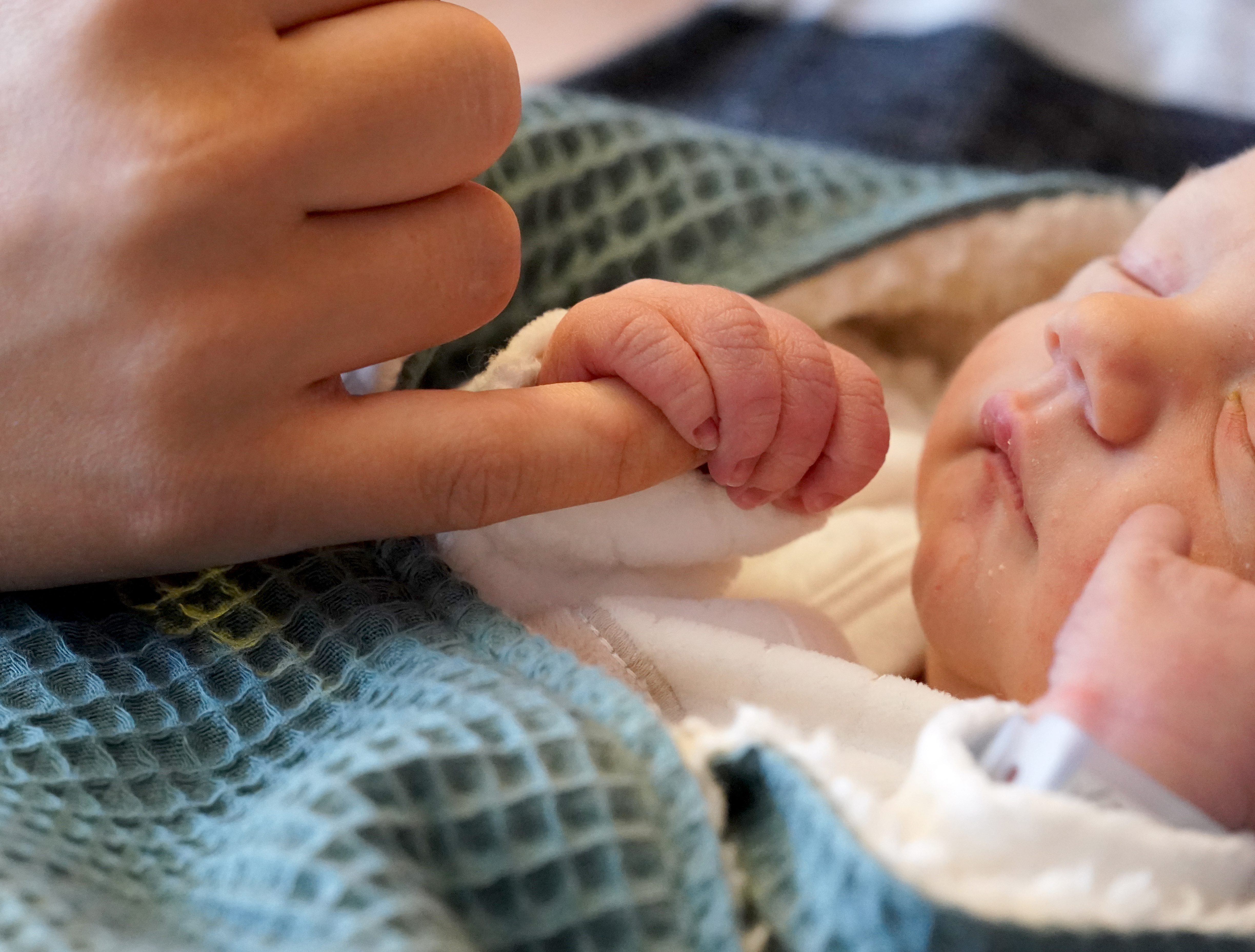 Самые редкие имена новорождённых в Ленобласти‑2025: отгадаете хоть одно?