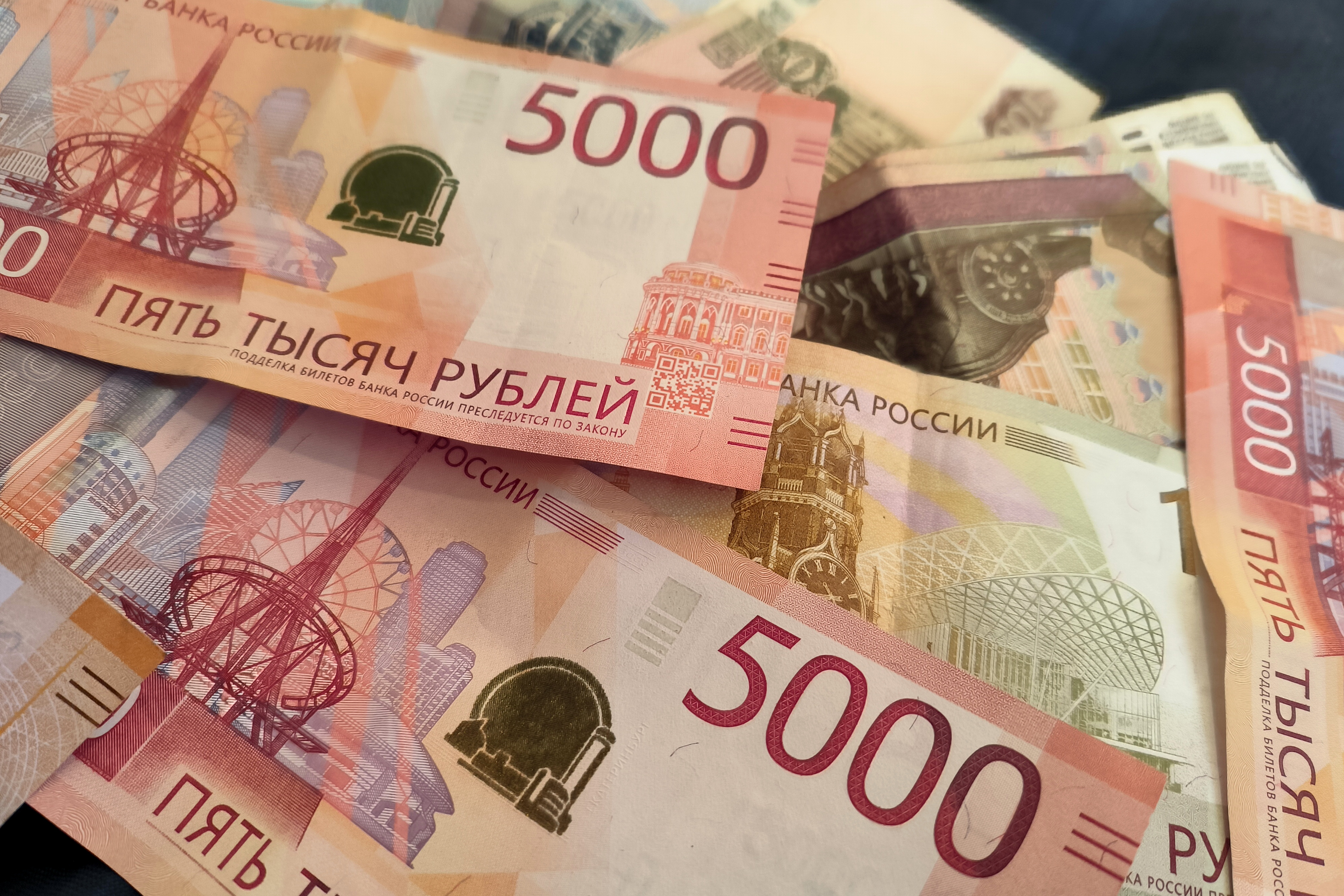 Земельный сертификат в Ленобласти подрос до 450 тысяч: что это значит для будущих владельцев?